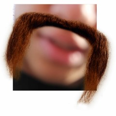 ELLEN DEGENERES SUPERFAN [live]