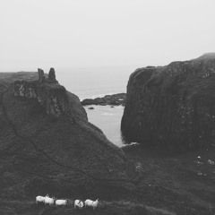 Portrait in Braindance Mix (tracklist in description)