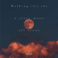 Walking The Sky (Naviarhaiku 305)