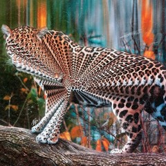 DOKUSANI B2B (dnb freestyle) ft.YASTRAP