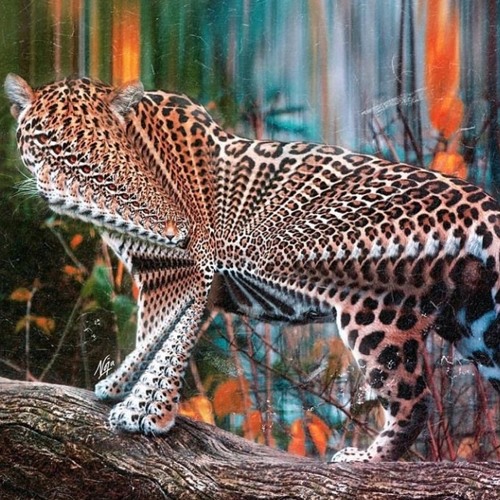 DOKUSANI B2B (dnb freestyle) ft.YASTRAP