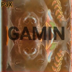 GAMIN (PAX)