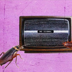 Lofi Or Hifi