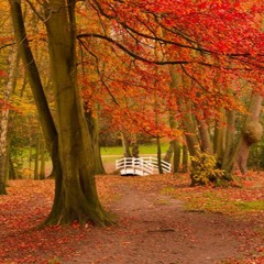 Jasmine et le vent d'automne