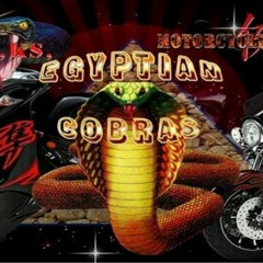 A whole lot of Cobras