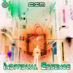 Individual Essence PT2 ( Original Mix )