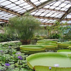 RHYE  x NATECHOP 2.0