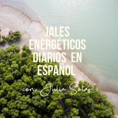 Jales Energéticos Diarios