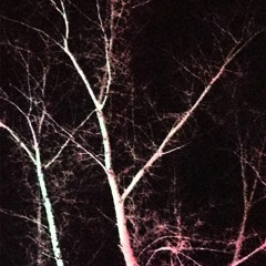 хорошая погода, завтра будет пасмурно