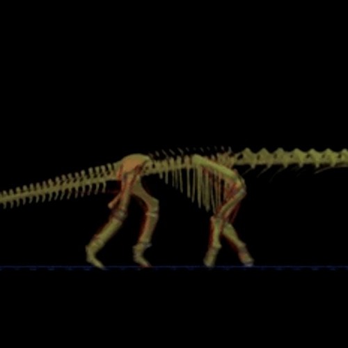 Relakztek Vs Modern Freedom - Muscle Museum (Muse REMIX )