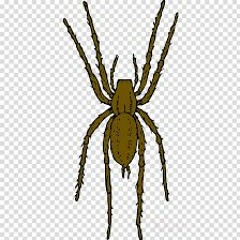 Spiders On Your Face - arse-myth Llanpsych Remix