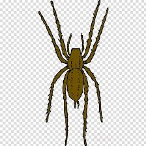 Spiders On Your Face - arse-myth Llanpsych Remix