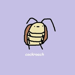 Cockroach