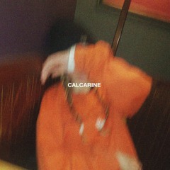 Calcarine