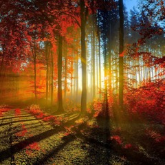 Untitled12 4x4music 23 (unmixed)