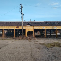 A Contemplation on Chene Ferry