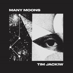 Tim Jackiw - Environment 1