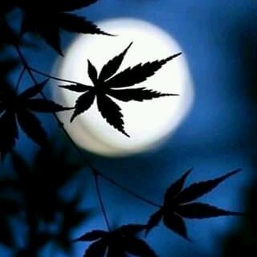 Boris Brejcha - Sternengleiter (Original Mix)