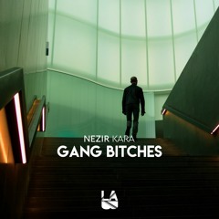 Nezir Kara - Gang Bitches