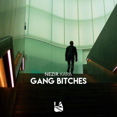 Nezir Kara - Gang Bitches