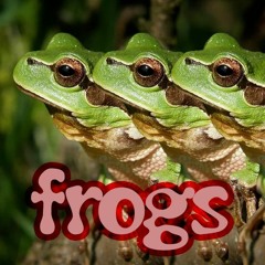 Frogs