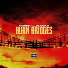 Sneeke - Burn Bridges