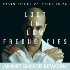 Cevin Fisher vs. Erick Ibiza - Lost In Low Frequencies (Ammit Shoor Rework) < < Free Download > >