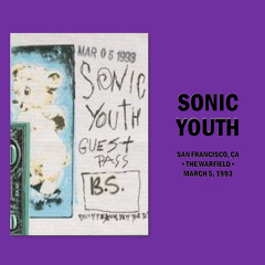Sonic Youth - Teen Age Riot (Live 1993)