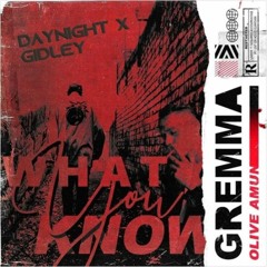 What You Know (GIDLEY & DayNight Remix) [FREE DOWNLOAD]