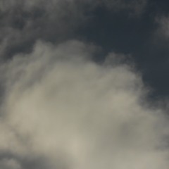 Fought The Good Fight