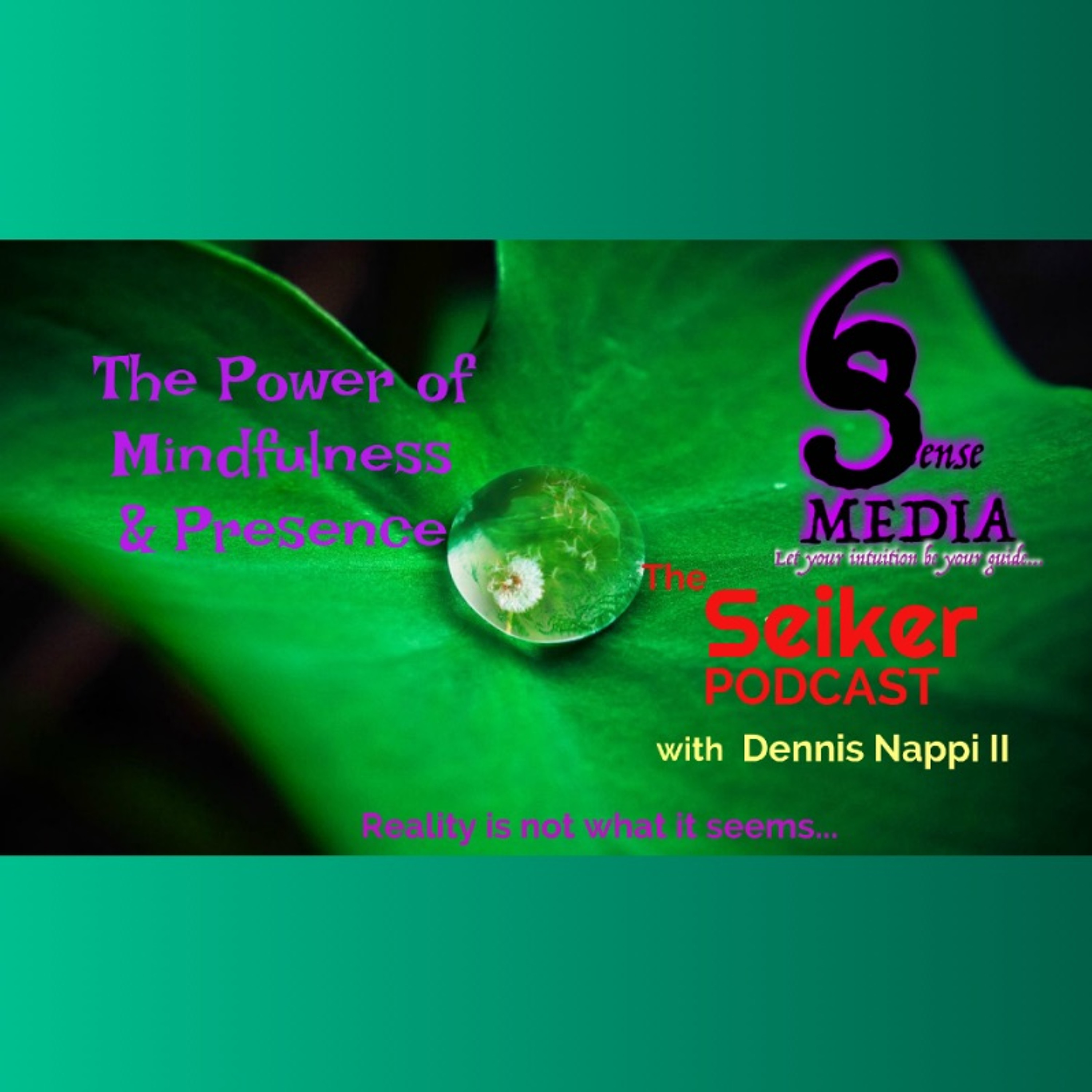 The Seiker Podcast