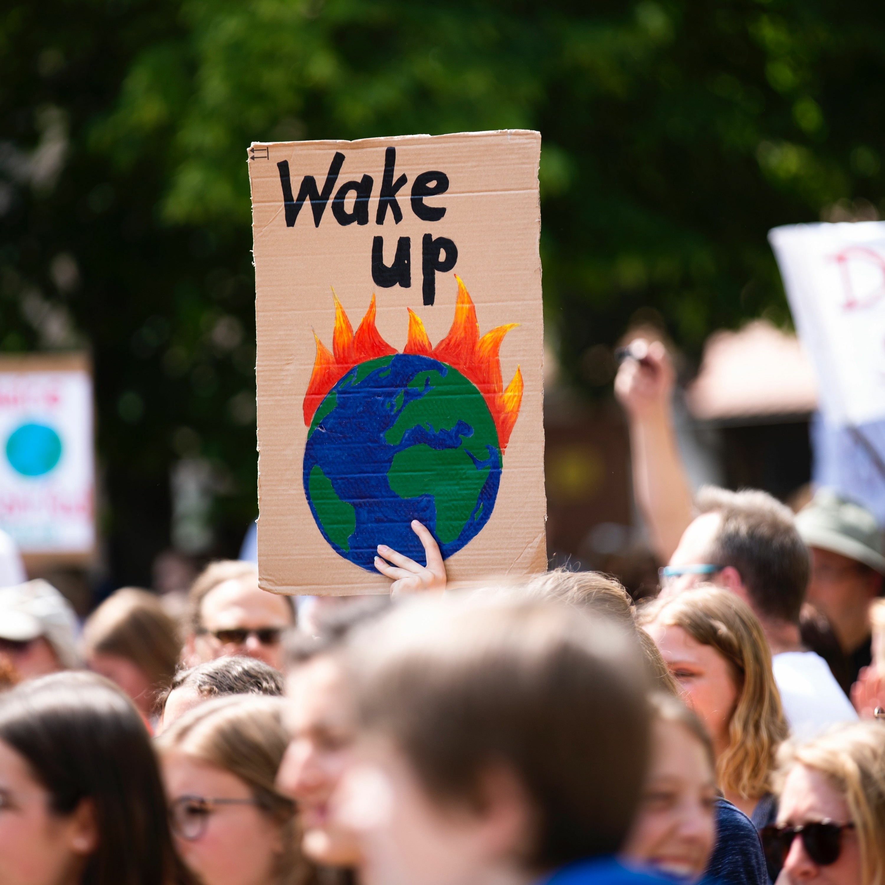 FreshEd #180 - Education in Times of Climate Crisis episode artwork