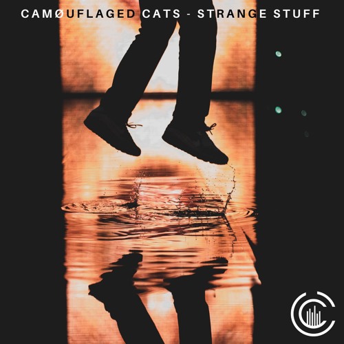 Camøuflaged Cats - Strange Stuff