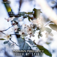 02 - Norma Project - Touch My Spirit