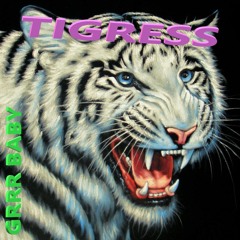 Rihanna - Rude Boy (Tigress House Remix)