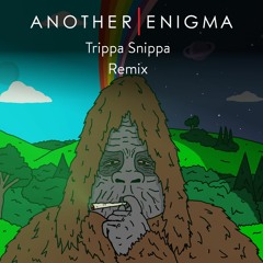 The Big Lez Show - Trippa Snippa (Another Enigma Remix)