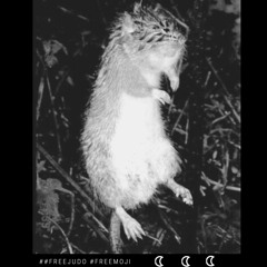 #NIGGASTIPPIN (feat. U4LMOJI & BEZY)