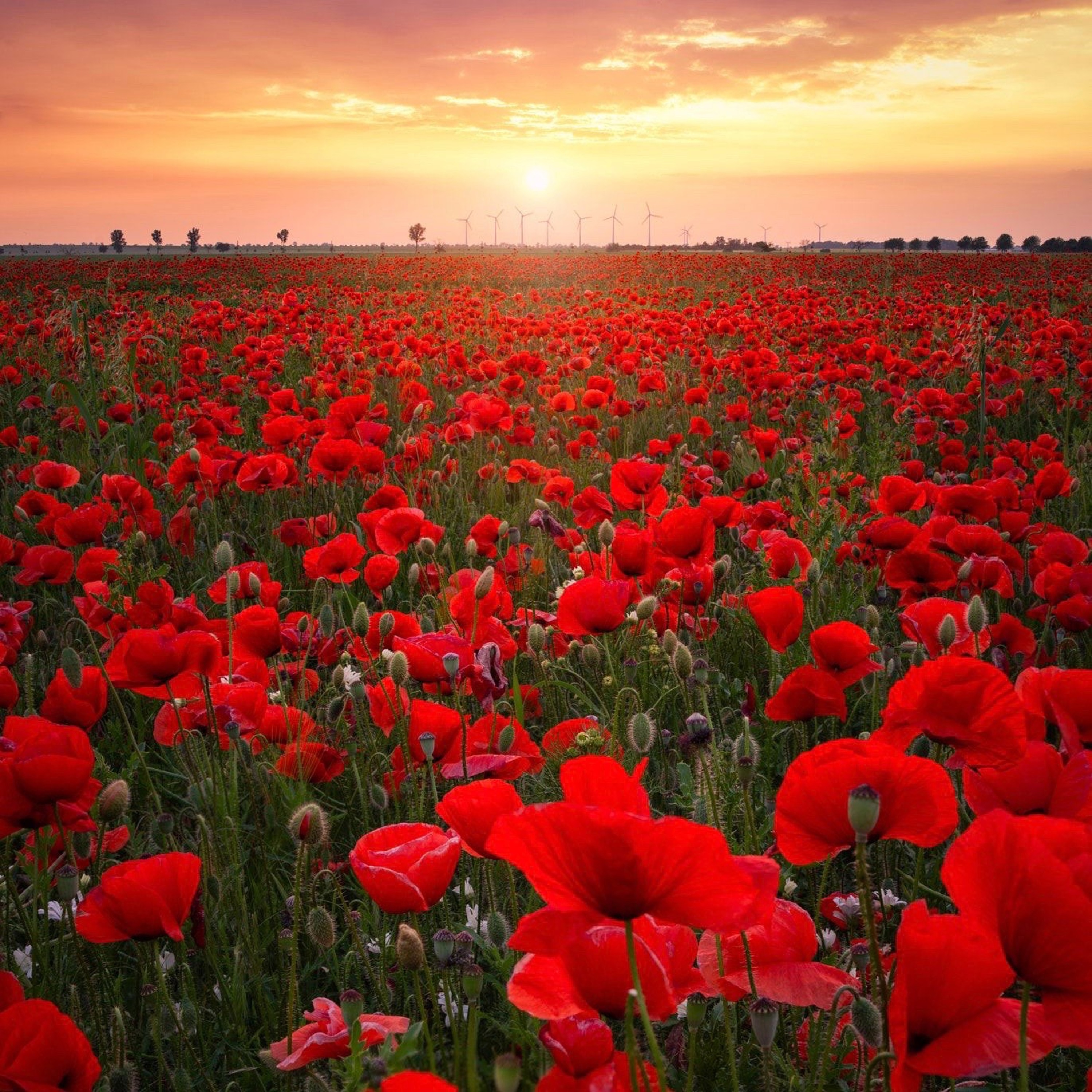 Saint Bride\'s Parish Podcasts