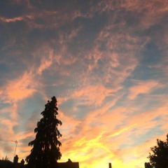 Until The Morning Is Light