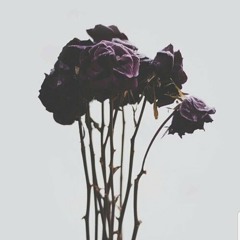 dead roses