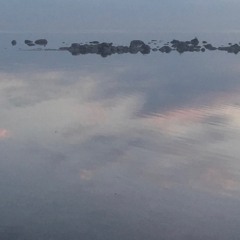 Surfacing