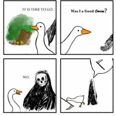 Consequences