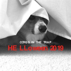 Corgs in the Trap: HELLoween 2019