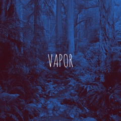 vapor w/ weaver beats