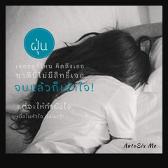 ฝุ่น