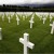 Artwork for In Flanders Fields, by John McCrae, music, David Darling, narrator, M.Justice