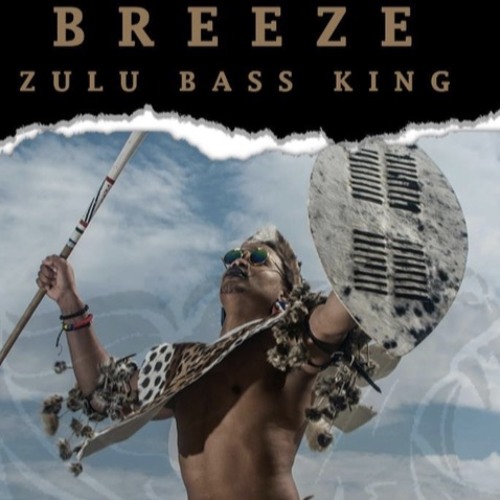 zula bass