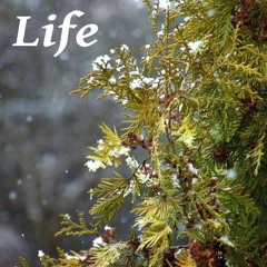 Life