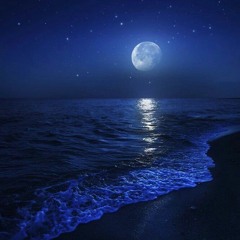 The Night Walk