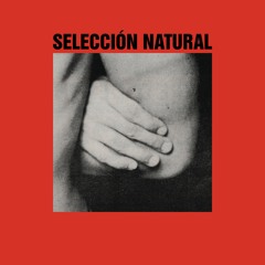 7.Seleccion Natural - Rolling On The Ground